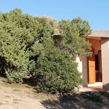 Rena Garden Apartments Santa Teresa Gallura Exterior foto